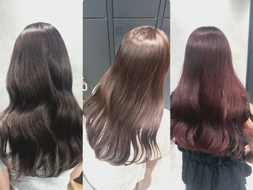 MIROH himariの掲載