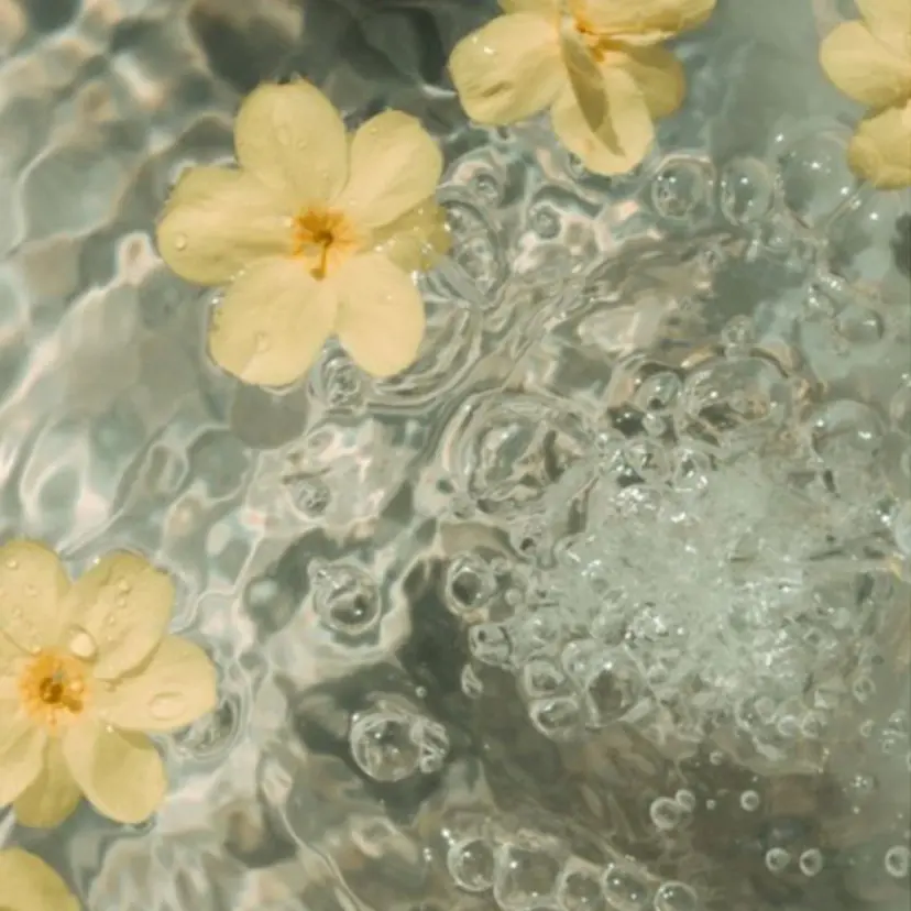 MAQUIA福島駅前 梅津の掲載