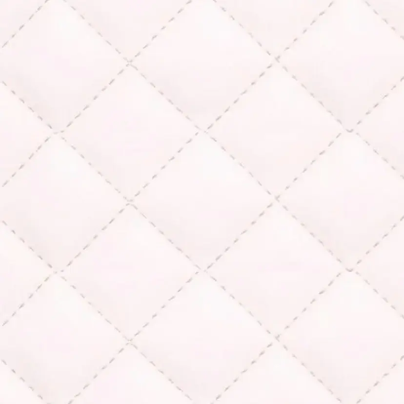 戎子 海有の掲載