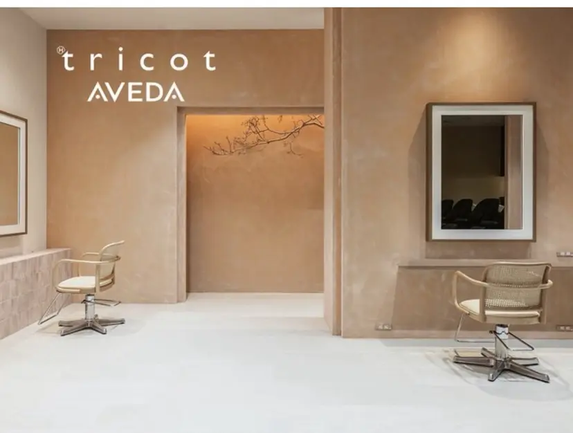 石井 大雅の掲載