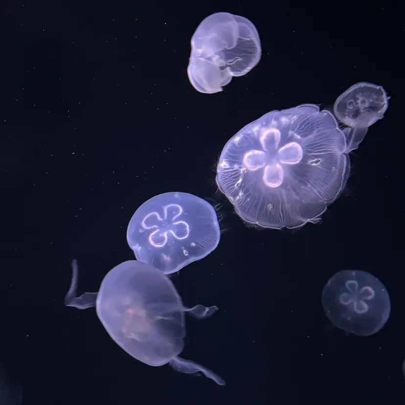 EARTH三鷹 KOKOROの掲載