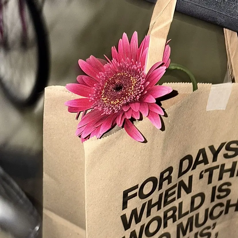 ening nazukiの掲載