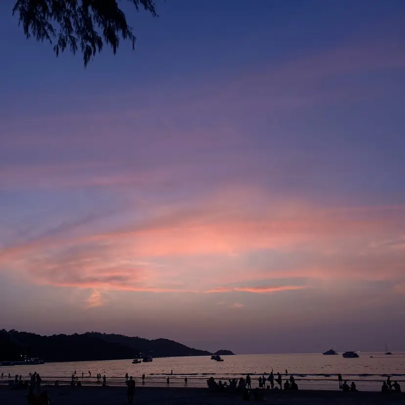 NORA Harumi🌞の掲載