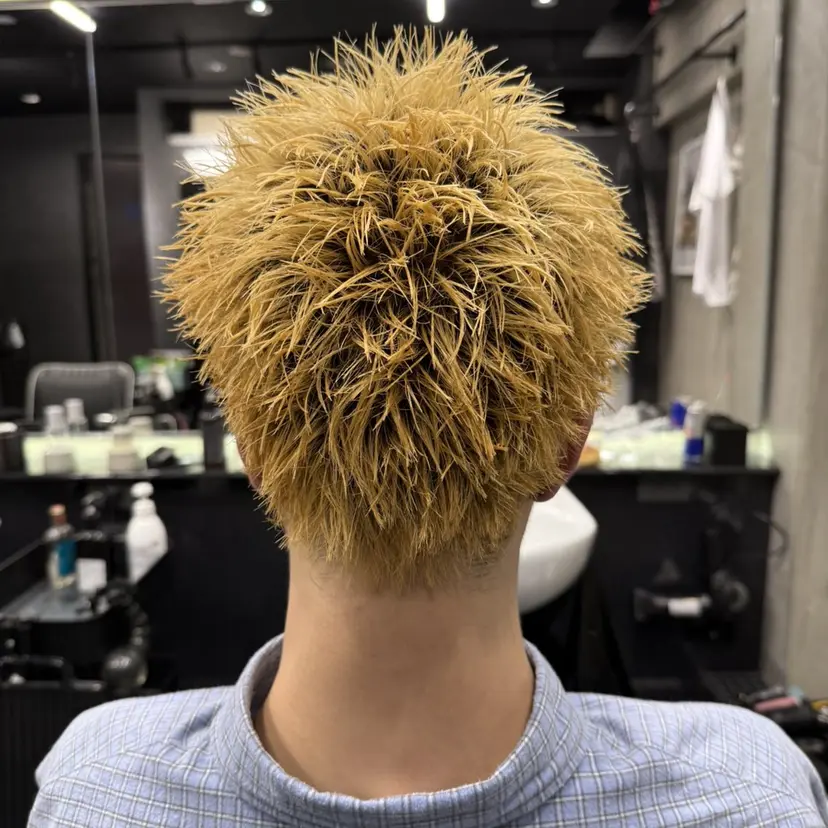 竹澤 千冬の掲載