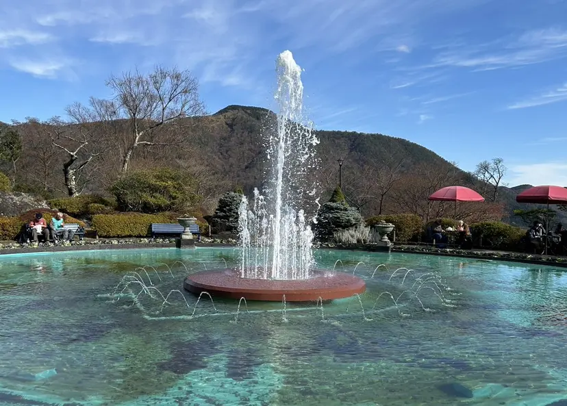 🎀たな 🧸の掲載