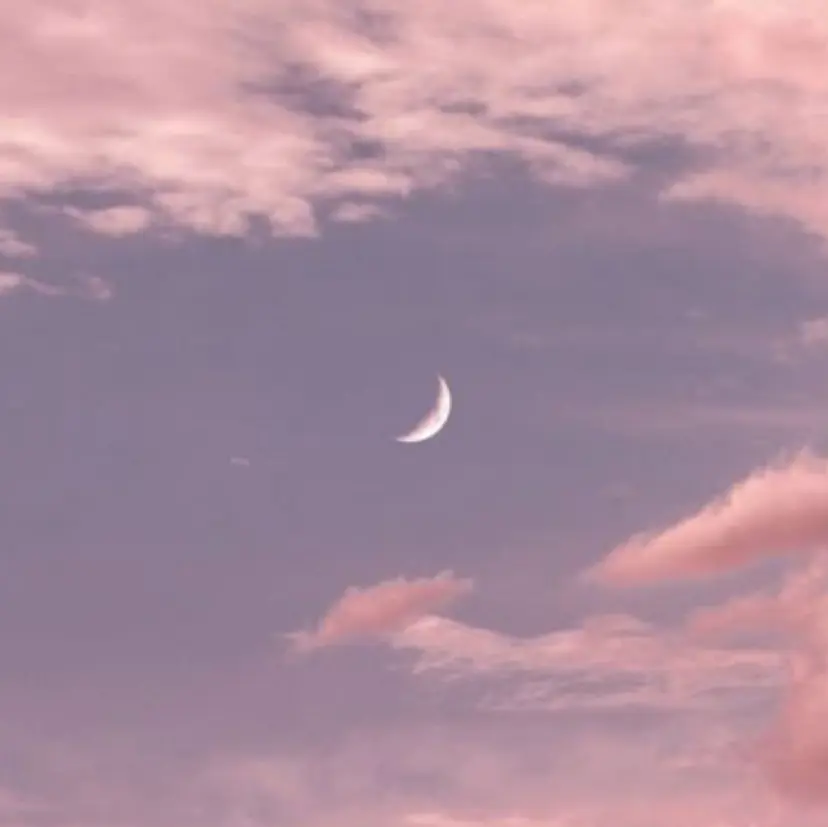 alice tokyo宮﨑の掲載