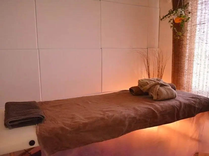 仲澤 千春の掲載