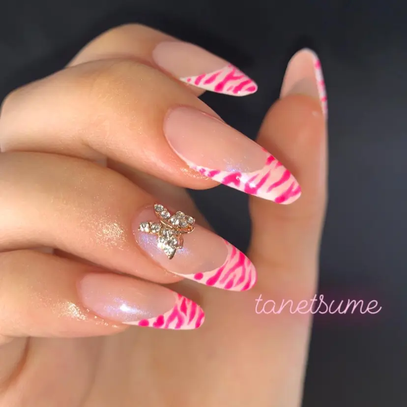 種爪 たねつめの掲載