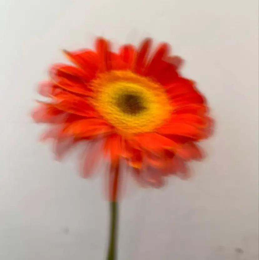 小野 龍樹の掲載