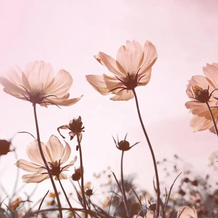 フリーネイリスト michiの掲載