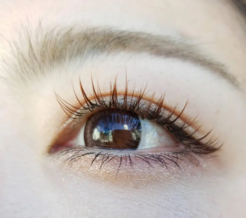 吉田 紗理菜の掲載