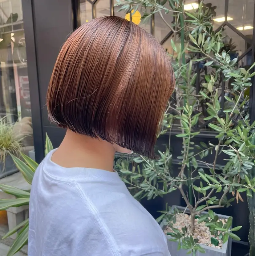 川村 雪乃の掲載