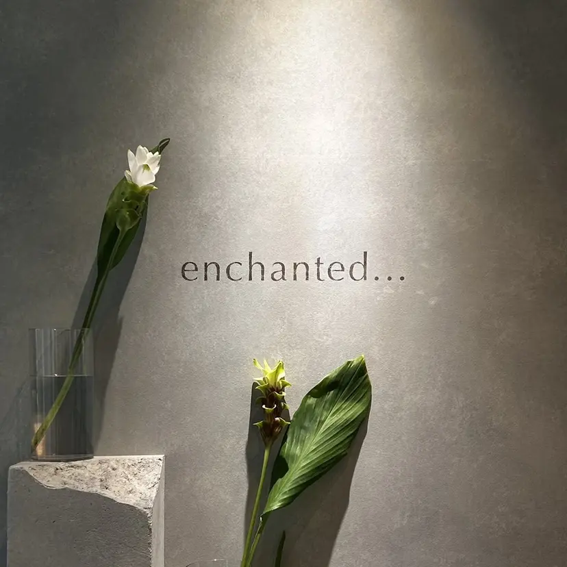 RUKA🩰透明感 寒色カラー/レイヤーの掲載