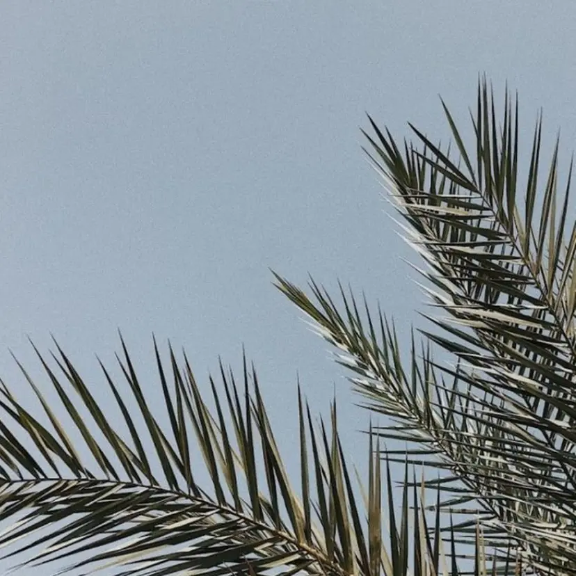 Nine.［ナイン］ Furukawaの掲載