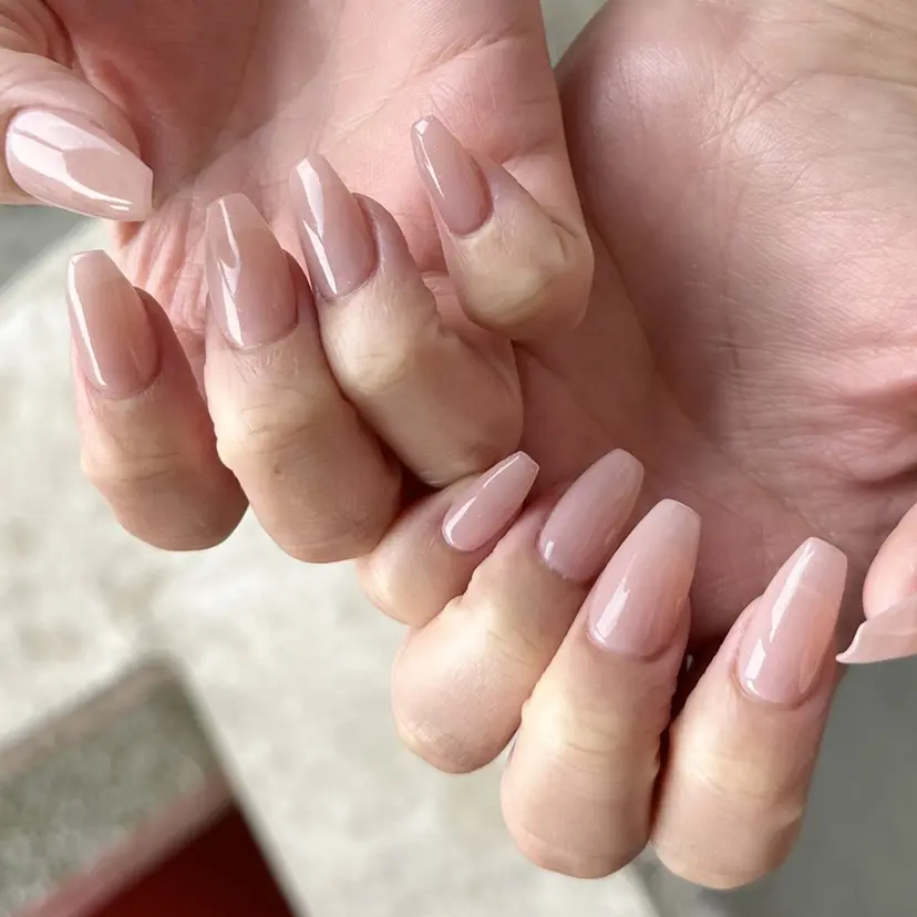 寺田 遥菜の掲載