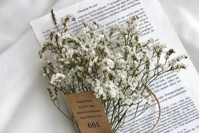 ロコラッシュ渋谷🩰 束感まつげ🌷の掲載