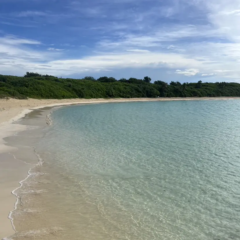 TRUeye👀 HANAの掲載