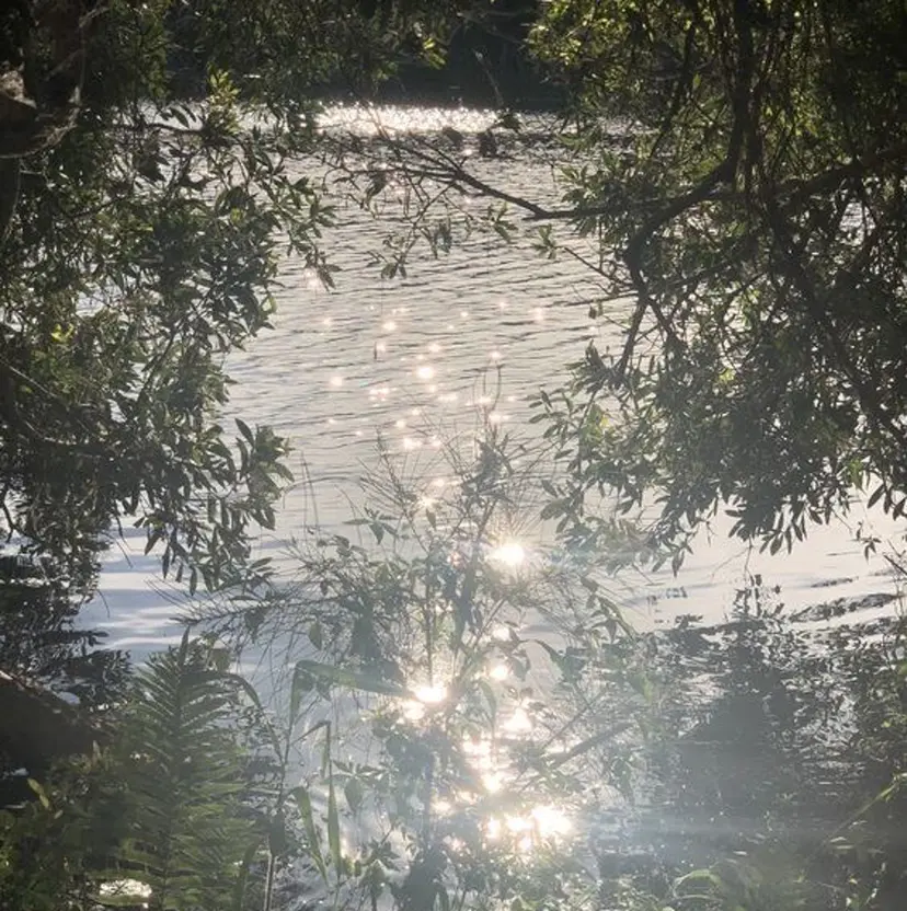 Bianca浦和🍀 suminaの掲載