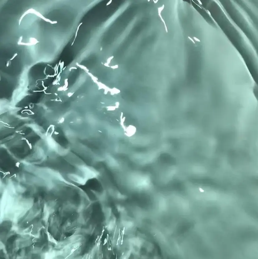 幹細胞ハーブ🇰🇷 自分史上最高の美肌への掲載