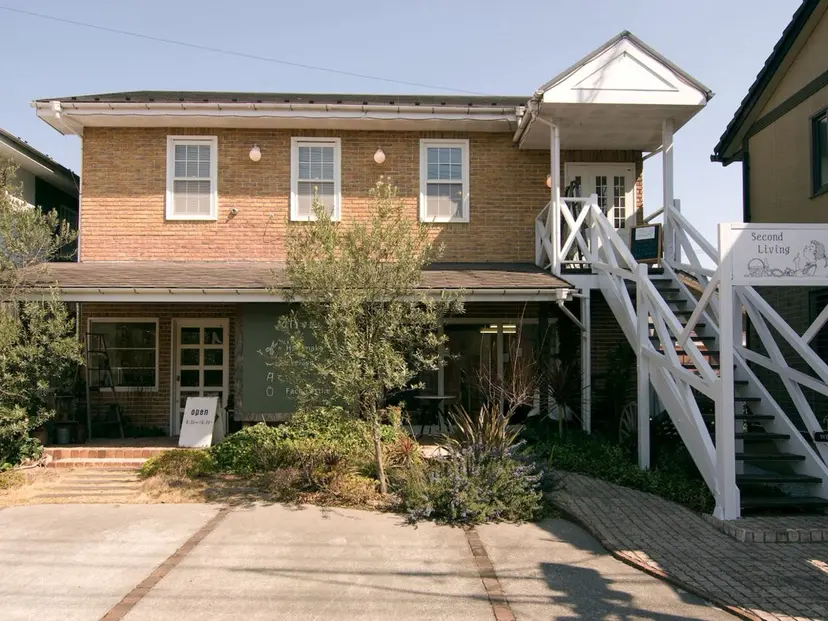 羽鳥 美穂の掲載