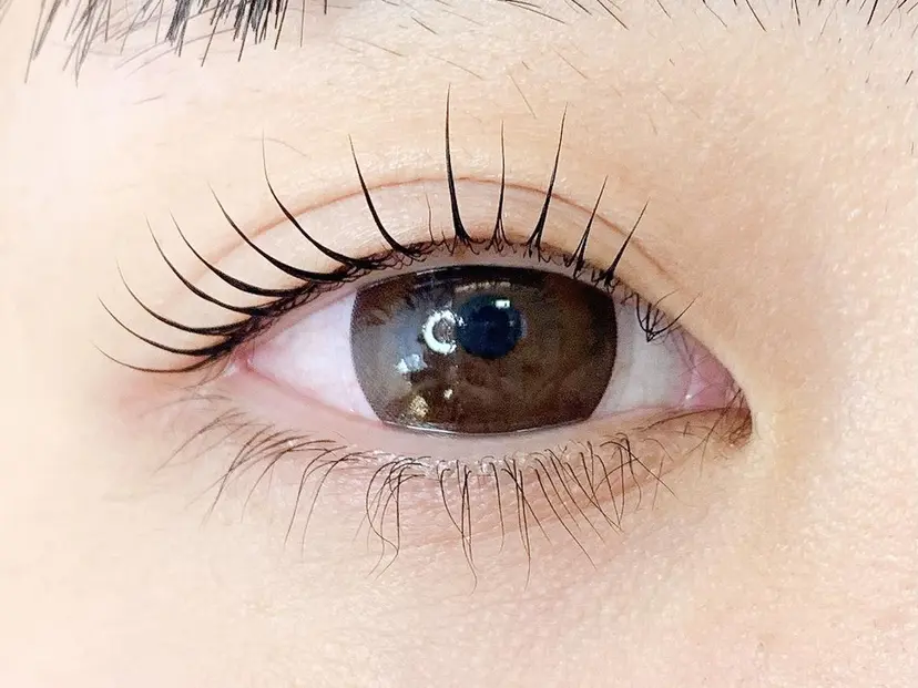 Blanche 中島店の掲載