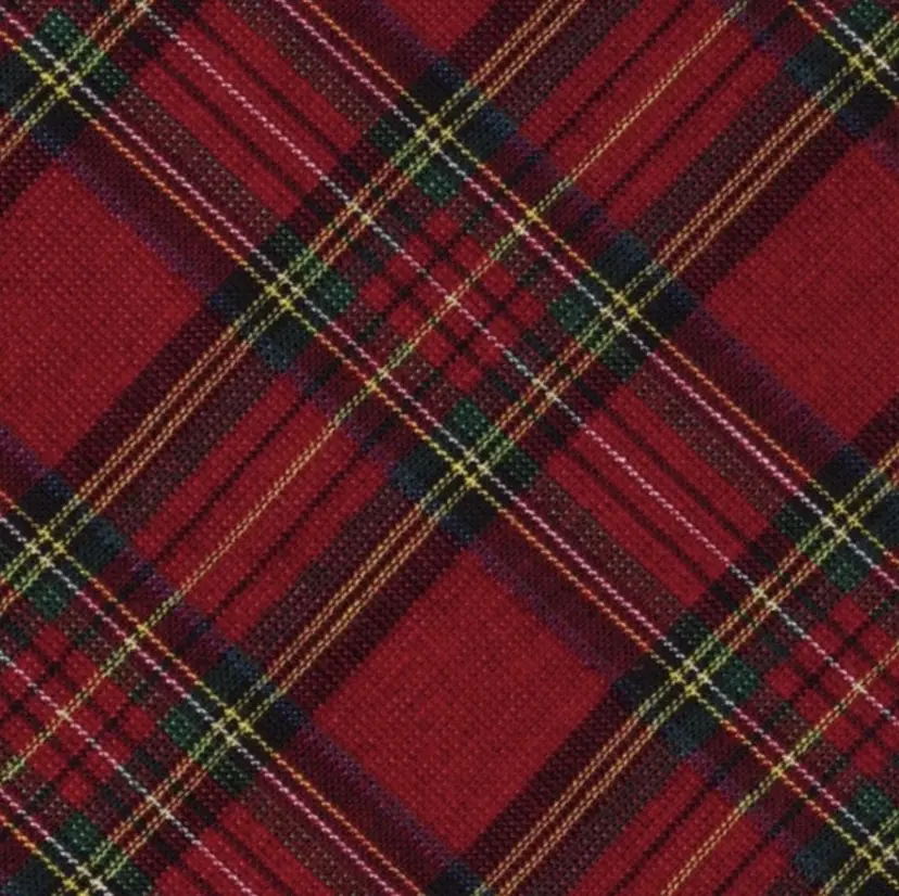 打田 梨央の掲載