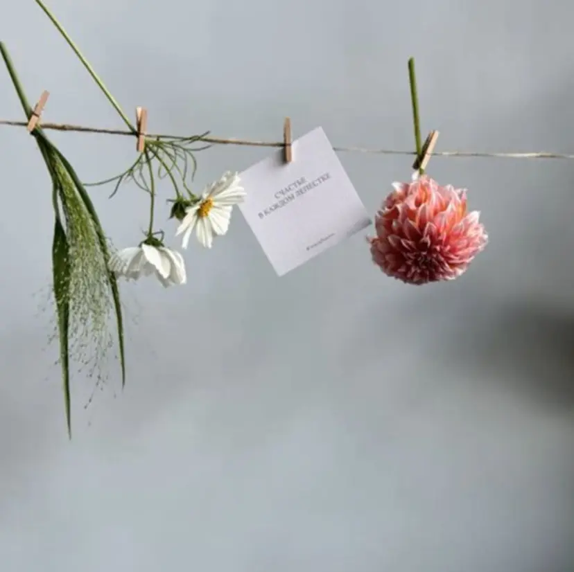 kaguya ˚·༊の掲載