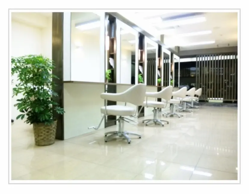 前野 樹莉の掲載