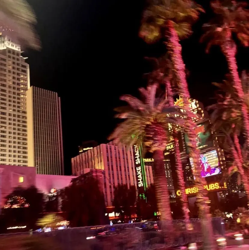 大人レイヤー/艶美髪 🇺🇸TOMONAの掲載