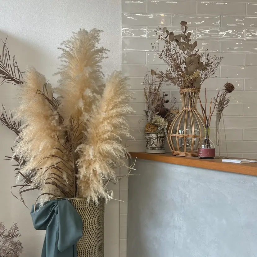 Sol. Sakihoの掲載