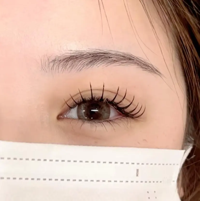 カネダ アイリストの掲載