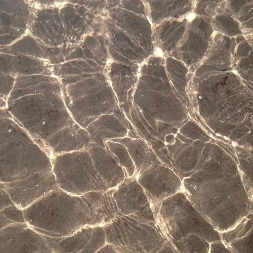 武田 清久の掲載