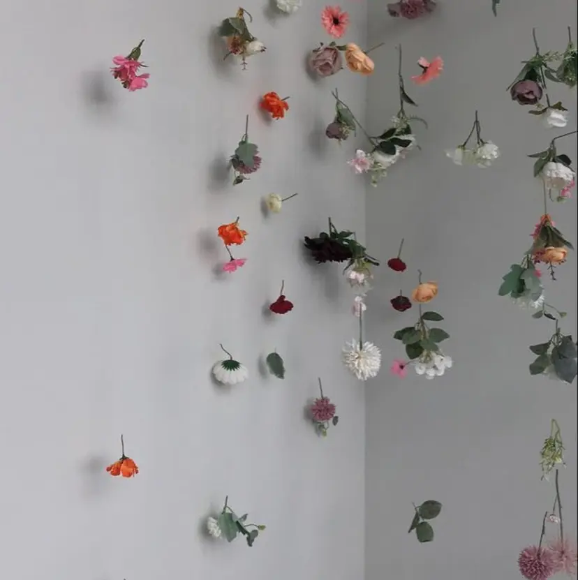 清村 和音の掲載