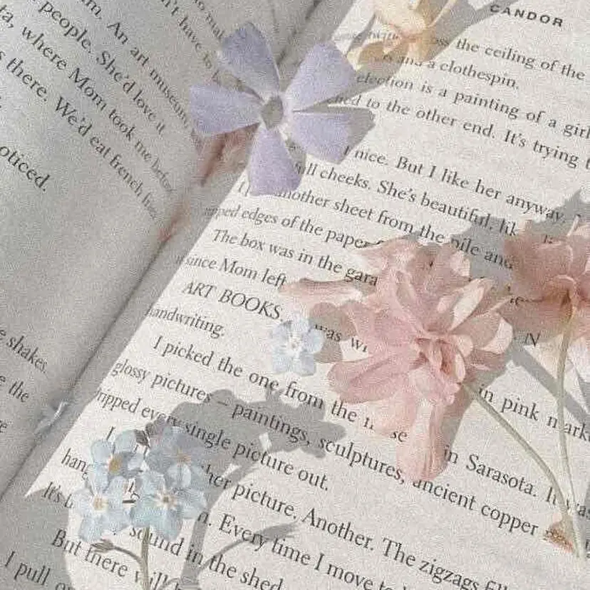 ever tokyo 谷村の掲載