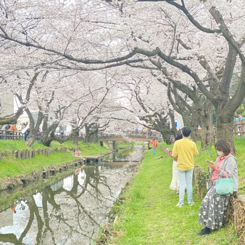 ケアブリーチ/ ブリーチ/Kazuoの掲載