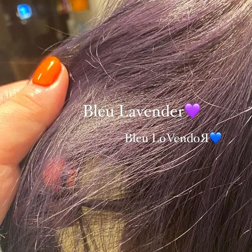 佐々木 恵の掲載