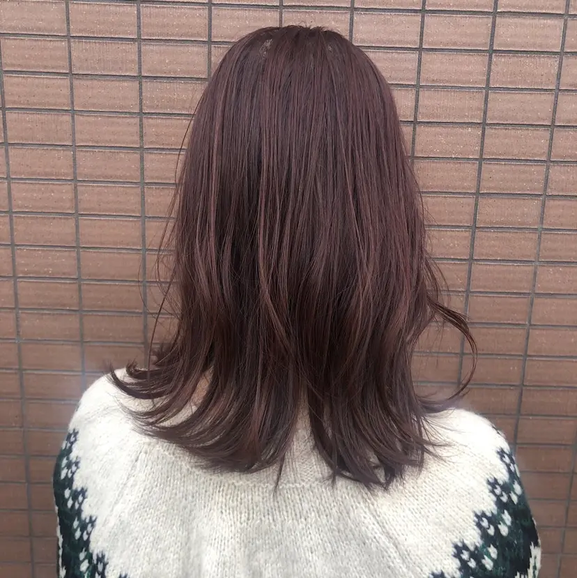 浦野 阿貴の掲載