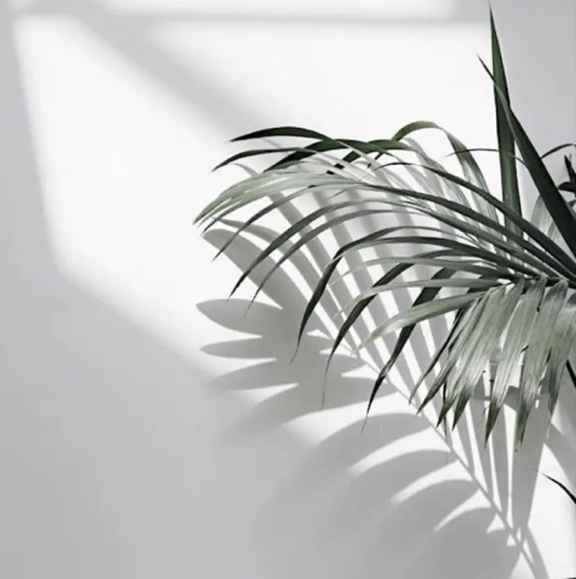 HAIR COCOROの掲載