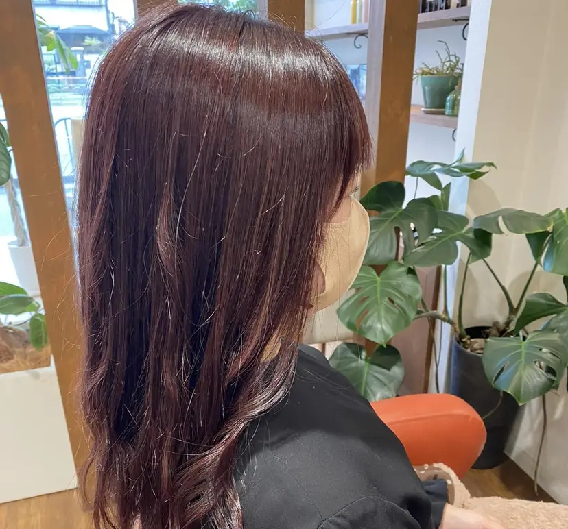 早川 大智の掲載