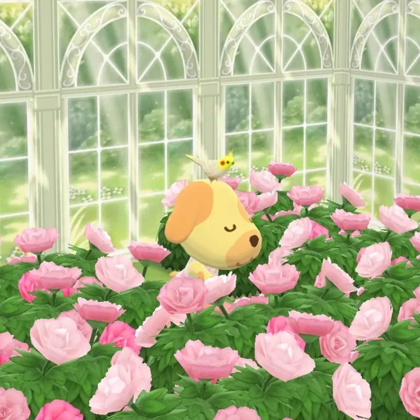 ParveMix / 山本 玲南🫧🪽の掲載