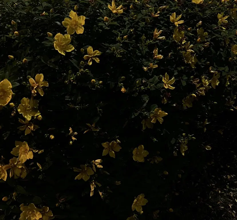 hinata🍃 /seeknextの掲載