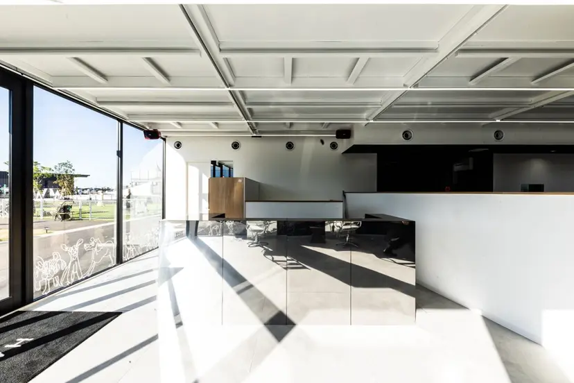 risa | 透明感 カラー|ベージュの掲載