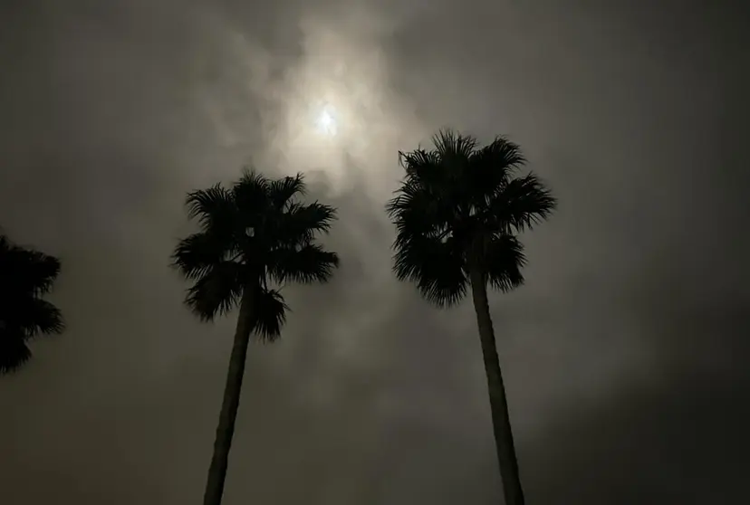 NANAMI 【Rico】の掲載