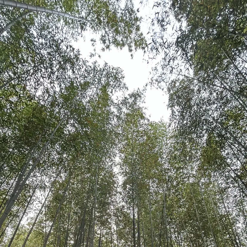 長屋 裕大の掲載