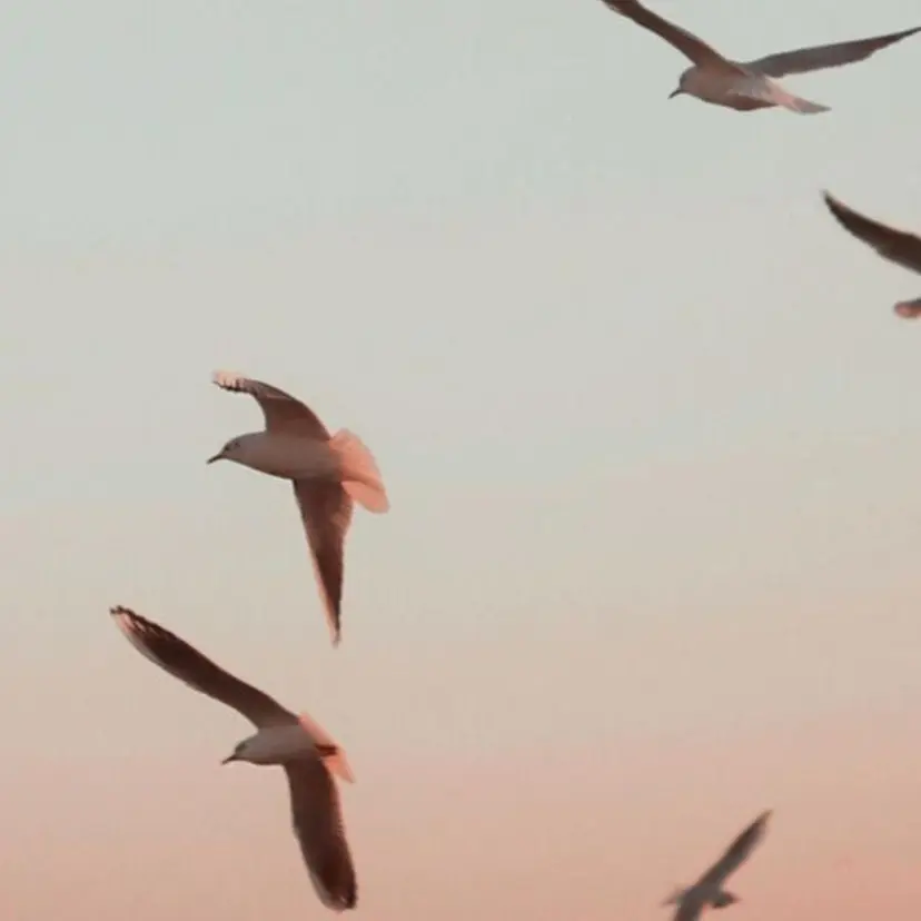 川上 莉歩の掲載