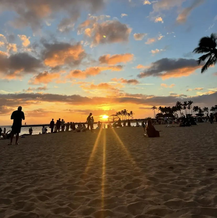 Olivia 遠藤の掲載