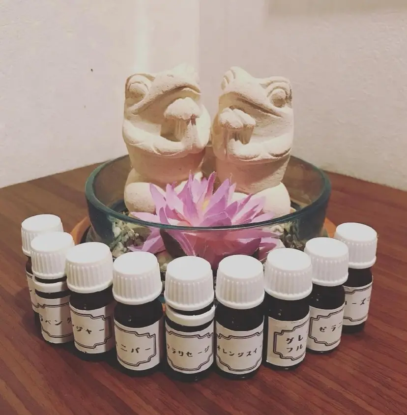 エステsala藤沢 sanaeの掲載