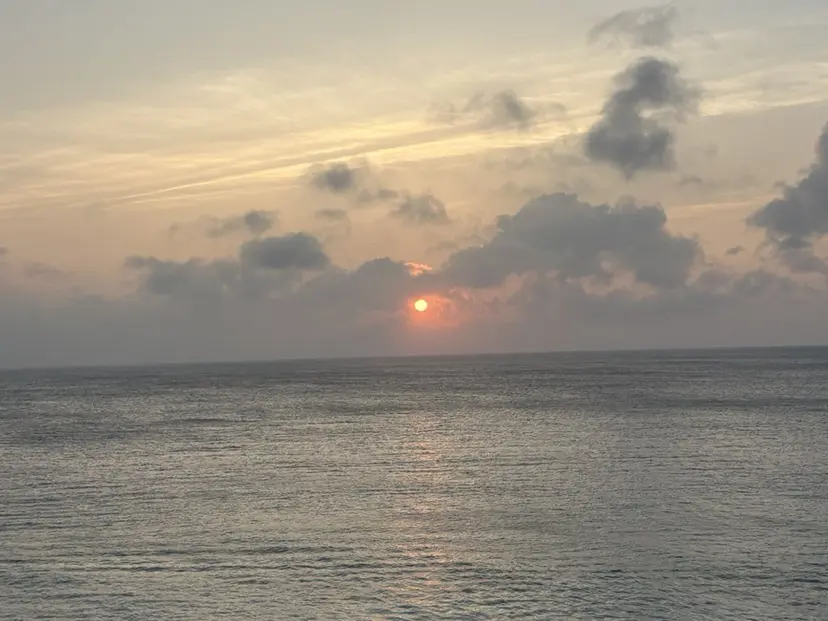 オリーブヘア🫒/ ハイライト/志賀の掲載