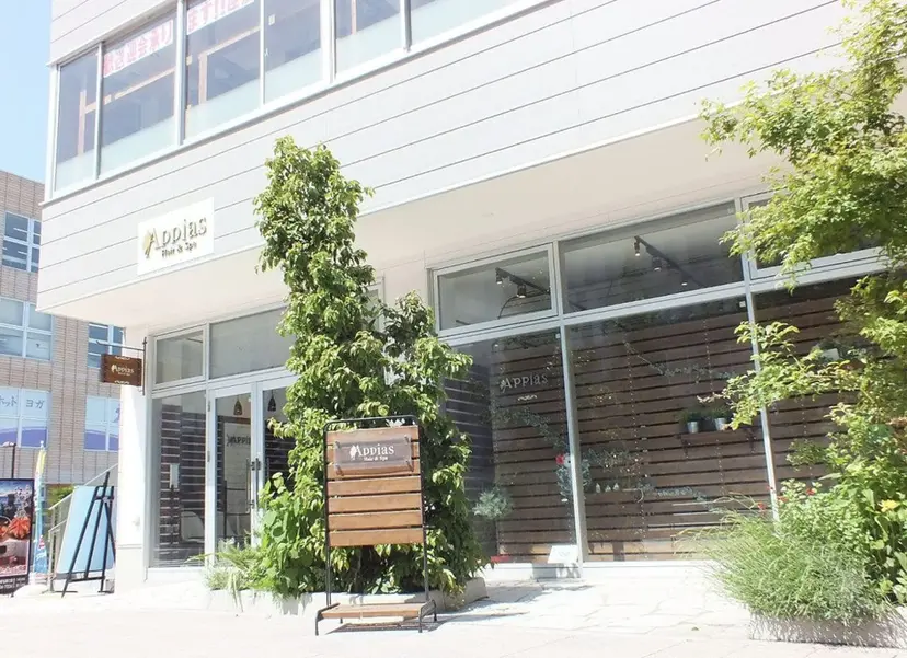 具志堅 ひなたの掲載