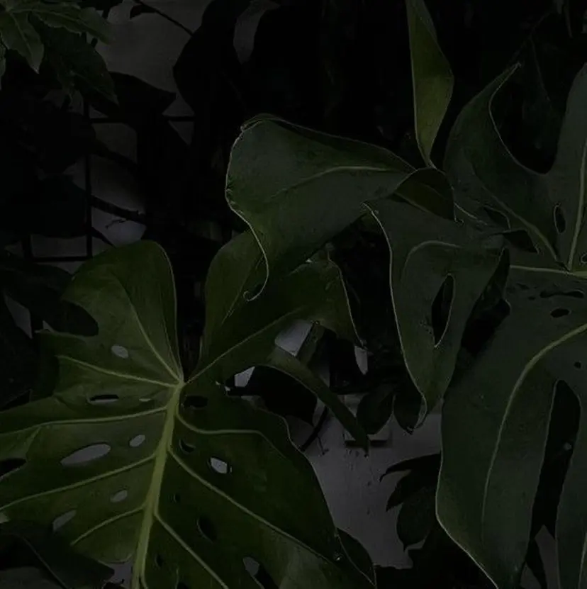 GRANDE大須 Cecil💜の掲載